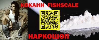 крисы Абакан