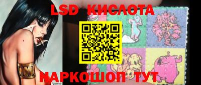 крисы Абакан