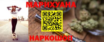 крисы Абакан