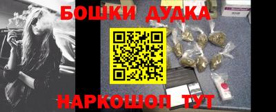 крисы Абакан