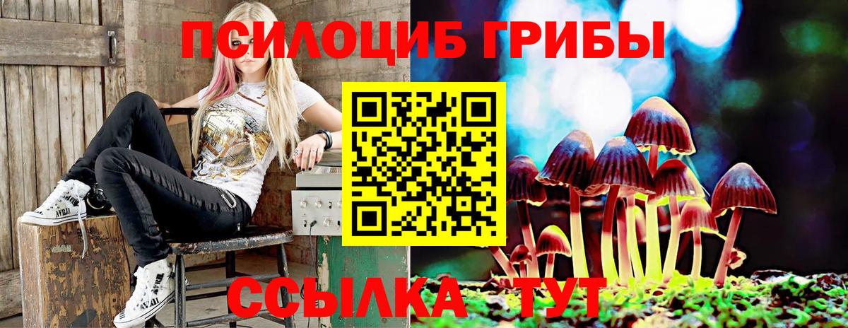 Галлюциногенные грибы ЛСД Россия